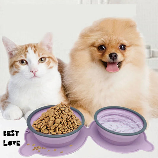 Foldable Silicone Double Food Bowls