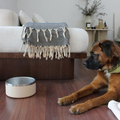 Tilley + Me Stainless Steel Pet Bowl – Non-Slip, Durable & Dishwasher Safe | 32oz and 64oz